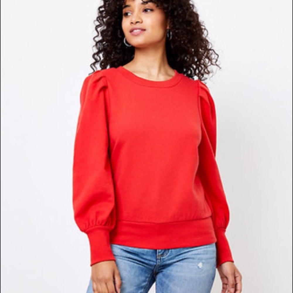Brand new - LOFT Sweatshirt